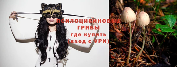 синтетический гашиш Ладушкин