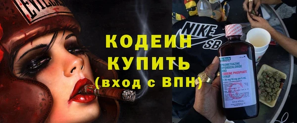 шишки Мурманск