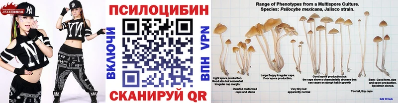 купить   Чернушка  hydra как войти  Галлюциногенные грибы Psilocybine cubensis 