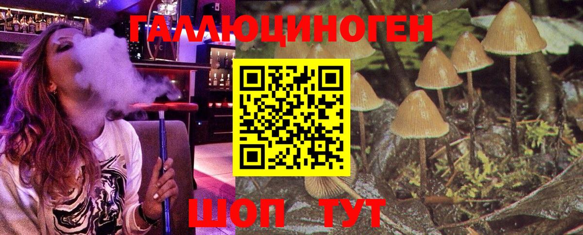 Псилоцибиновые грибы мицелий Чернушка