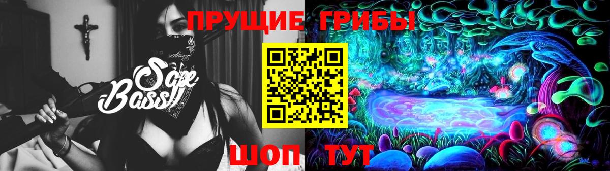 как найти   Галлюциногенные грибы прущие грибы  Вход с VPN  Чернушка 